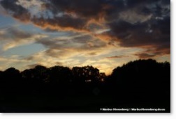 Sonnenuntergang Magdeburg Thumnail